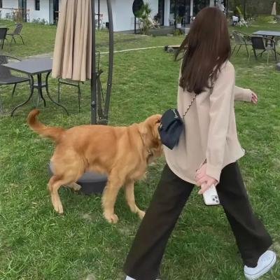 我，迈克尔
